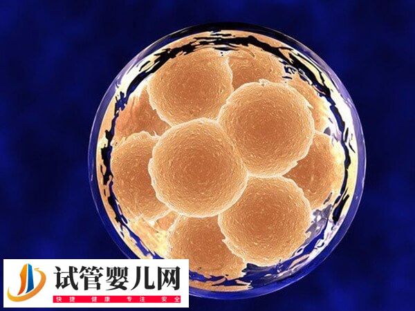 冻胚移植的流程是怎样的