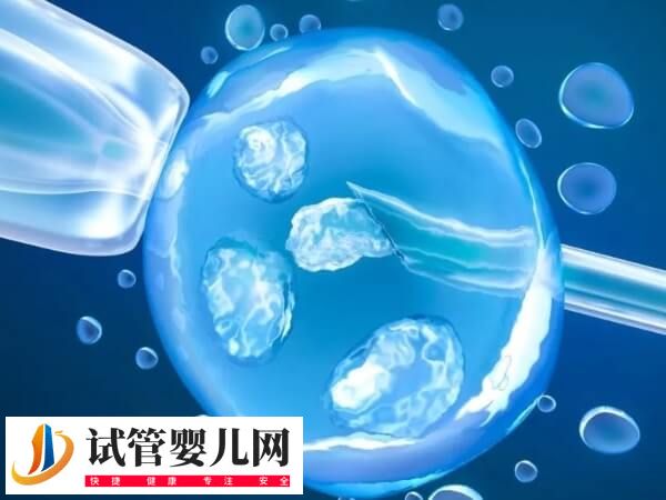 冻胚移植的流程是怎样的(图2)
