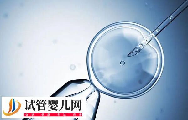 鲜胚和囊胚哪个更适合进行移植