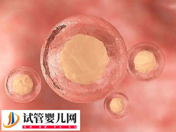 胚胎移植第21天可不可以做b超