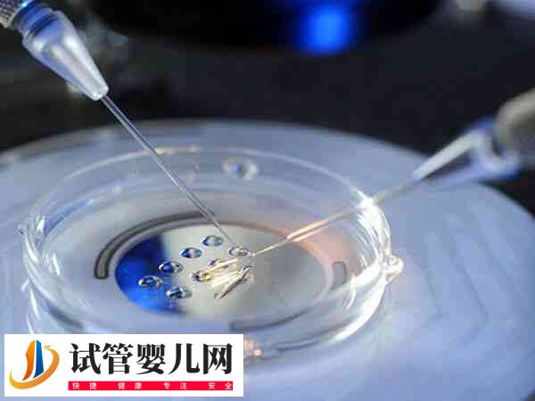 试管取卵前排精注意什么事项