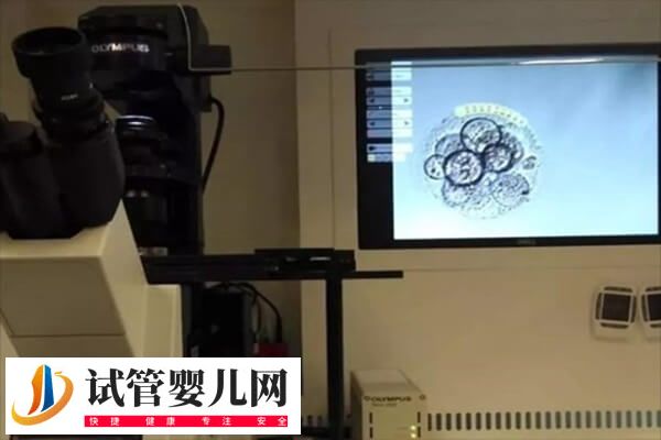 5个受精卵养囊成功2个怎么回事