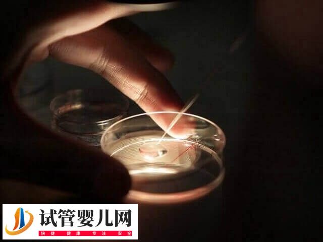 5个受精卵养囊成功2个怎么回事(图2)