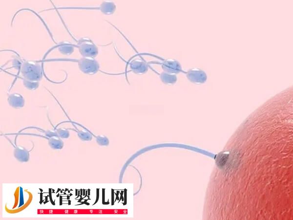 自然周期什么时候移植胚胎好