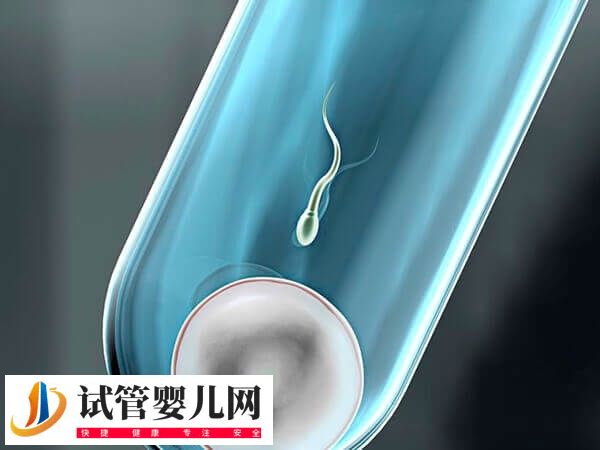 子宫腺肌症移植能否2个鲜胚怀双胎