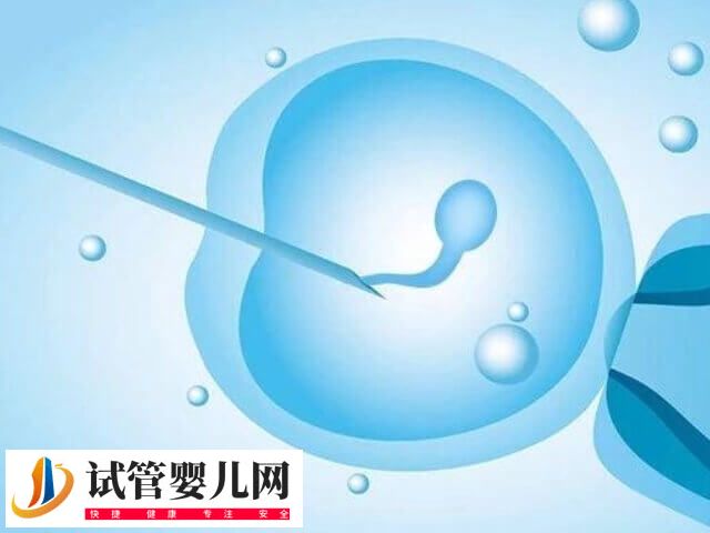 微刺激方案促排取卵有哪几步