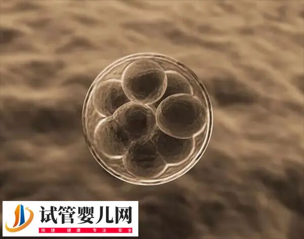 试管婴儿需要取卵几次