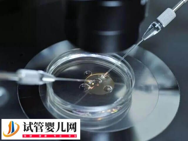 试管移植后身体会有什么反应
