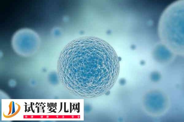 南京鼓楼做试管成功率多高(图2)
