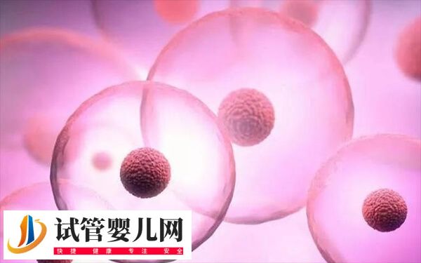 成都做试管婴儿哪家好(图1)