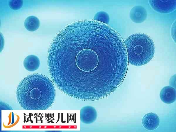每天打排卵针为什么卵泡会减少(图2)