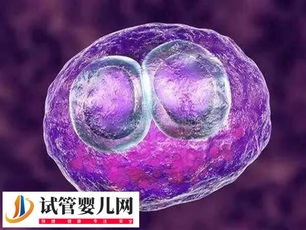促排当月就移植入子宫好不好(图1)