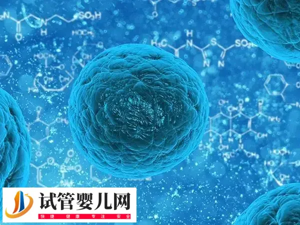 排卵期小腹坠痛就立刻同房怀孕几率多大(图2)