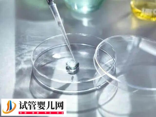 三代试管10万元能否成功(图1)