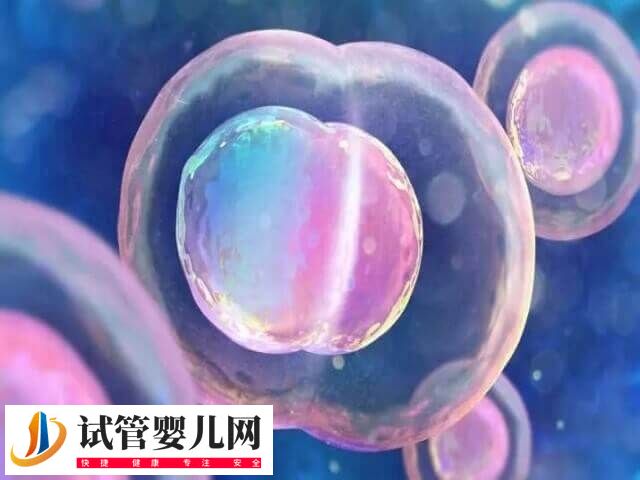 谨慎移植的成功率有多少(图2)