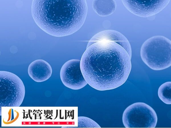 二胎移囊胚是一个还是2个好(图1)