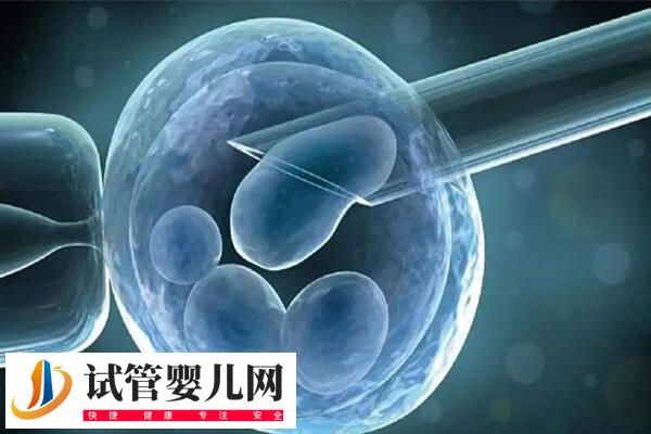 二胎移囊胚是一个还是2个好(图2)