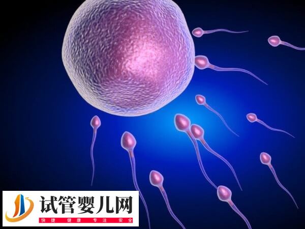 试管移植十六天腰发麻的疼正不正常(图2)