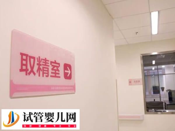 试管可不可以先取卵后取精(图1)