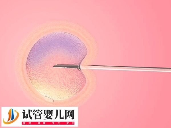 泰国试管婴儿包成功可不可信(图1)