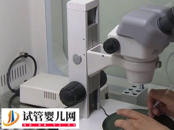 泰国试管婴儿包成功可不可信(图3)