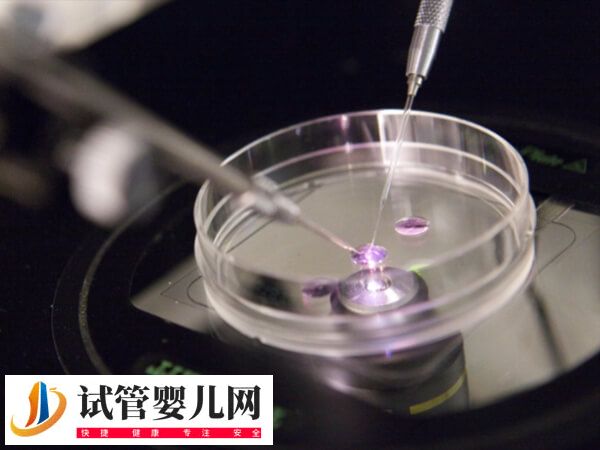 泰国试管婴儿包成功可不可信(图4)