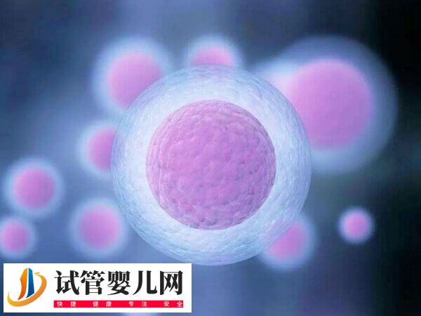 美国四代试管婴儿是什么技术(图1)