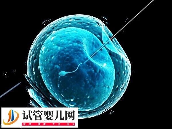 做试管婴儿要不要检测卵泡(图1)