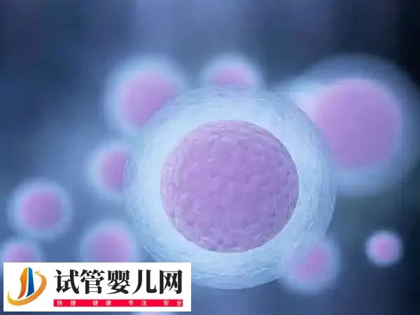 e2多少代表卵泡质量好(图2)