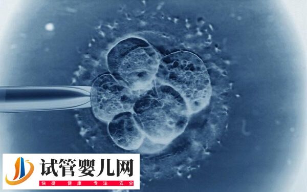 d6囊胚移植成功率高不高(图2)