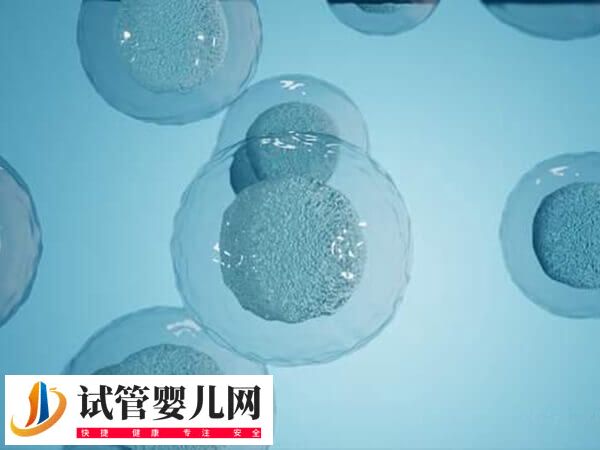 黄体期促排卵方案适不适合大龄女性(图1)