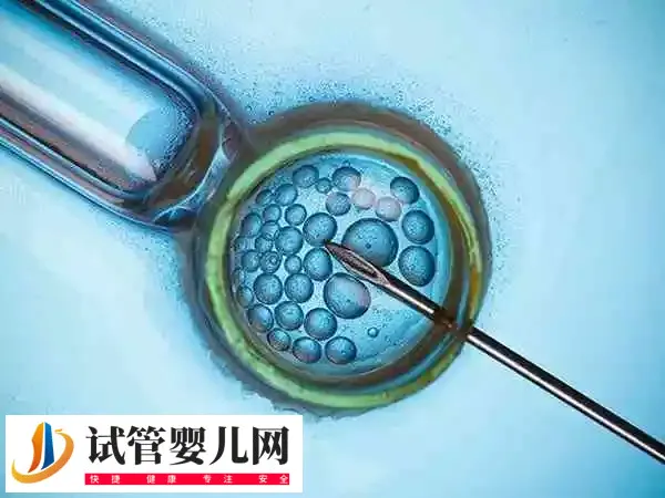 黄体期促排卵方案适不适合大龄女性(图2)