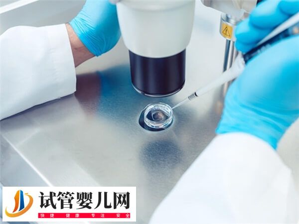 化疗后多久可以取卵