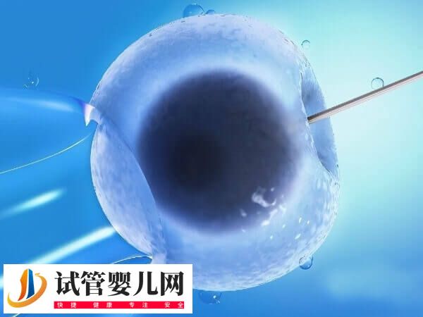 试管促排方案都适合哪些人(图3)
