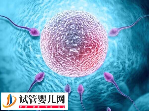 做一次促排卵要花多少钱(图2)