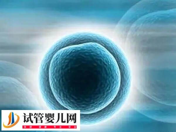 卵泡发育哪些阶段会出现闭锁