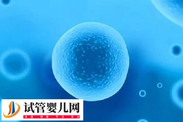 卵泡发育哪些阶段会出现闭锁(图3)