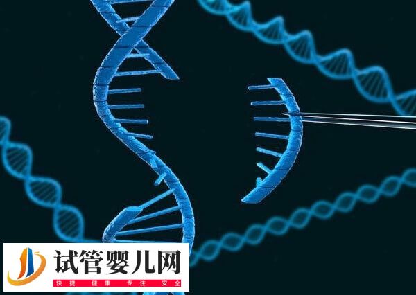 22号染色体异常会有哪些遗传病(图3)