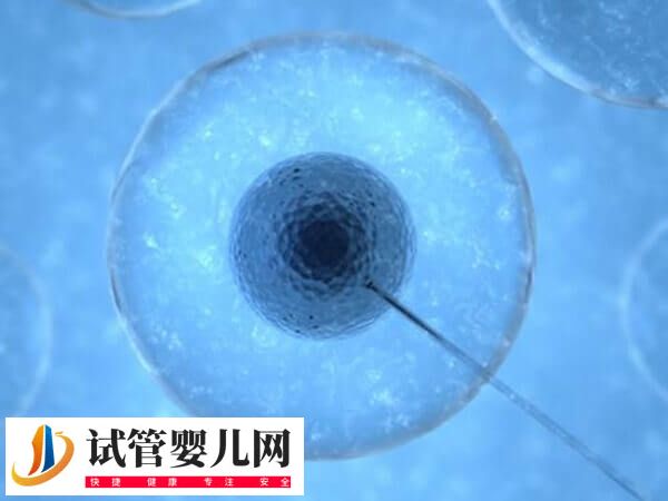女性骨髓造精多少钱(图2)