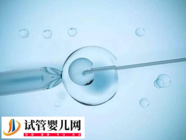 5aa囊胚移植后是不是一定生男孩(图1)