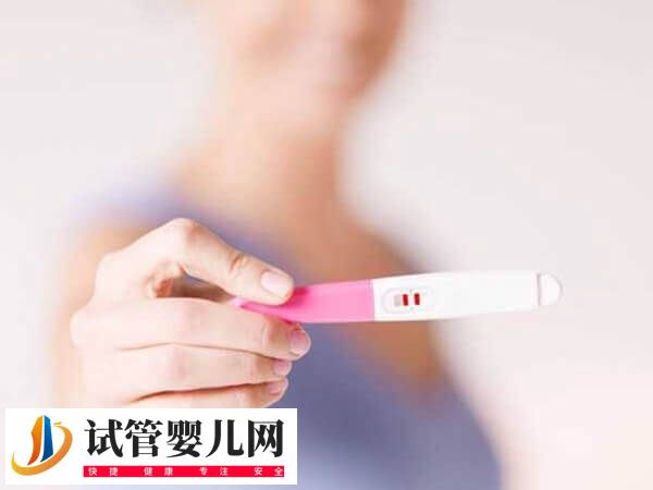 5aa囊胚移植后是不是一定生男孩(图2)