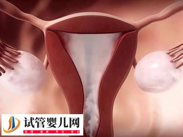 子宫切除手术有哪5种(图2)