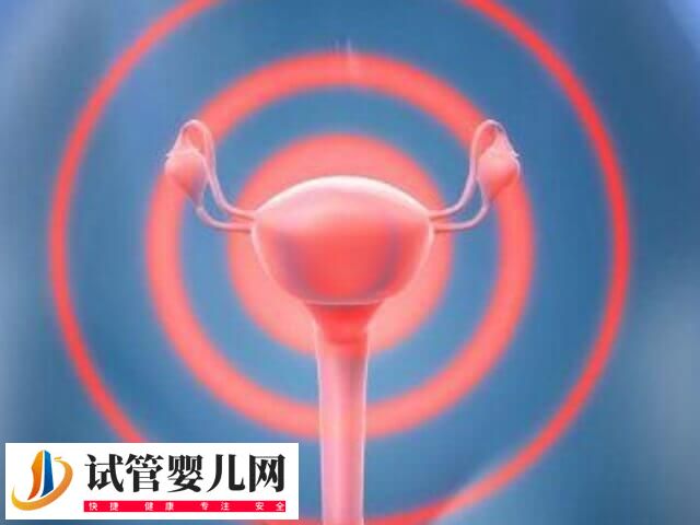 子宫切除手术有哪5种(图3)