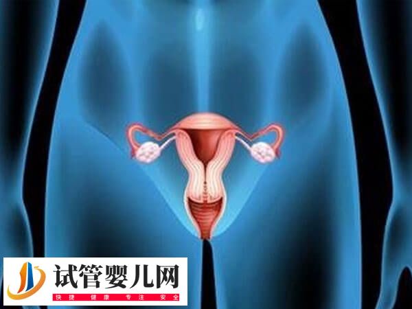 子宫切除后怎么保养比较好(图2)