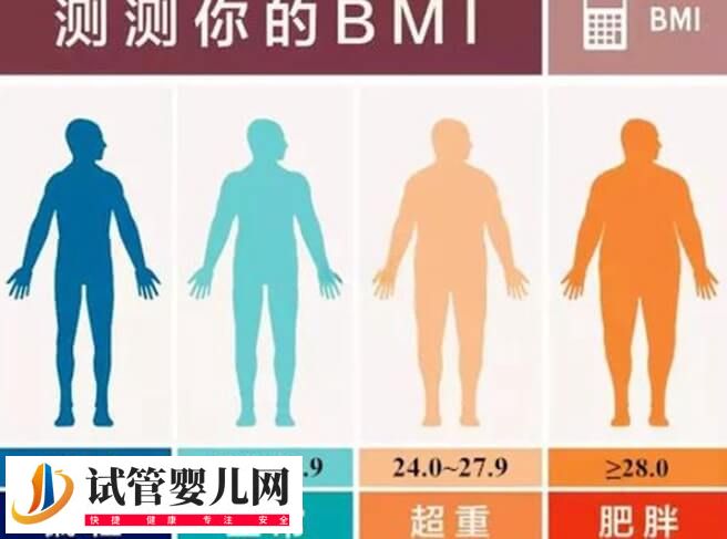 试管移植为什么要减肥(图1)