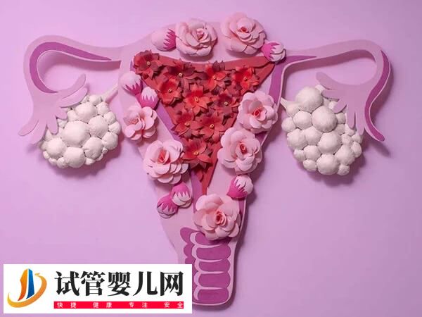 试管移植为什么要减肥(图2)