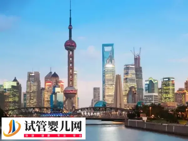 上海试管婴儿费用多少(图1)