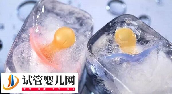 上海九院试管婴儿需要多少钱(图3)