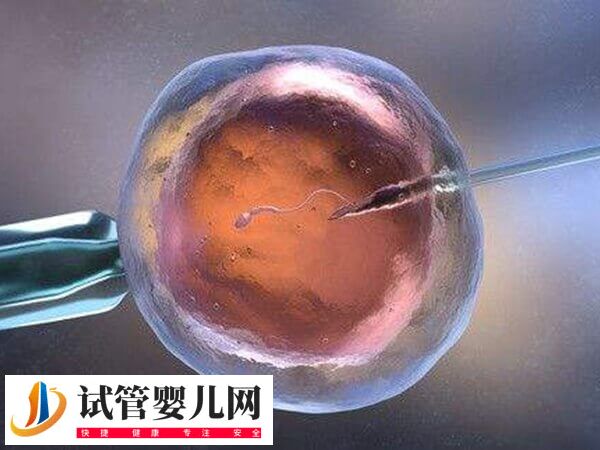 排卵过后子宫内膜多少能做试管移植(图1)