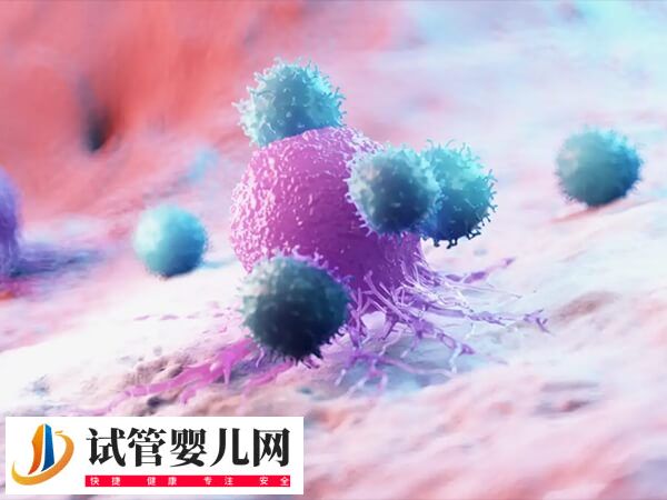 备孕外周血nk细胞比例高好还是低好?(图1) 备孕外周血nk细胞比例高好还是低好?(图1)